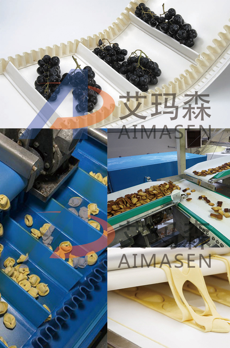 艾瑪森食品輸送帶 2